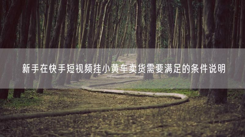 新手在快手短视频挂小黄车卖货需要满足的条件说明