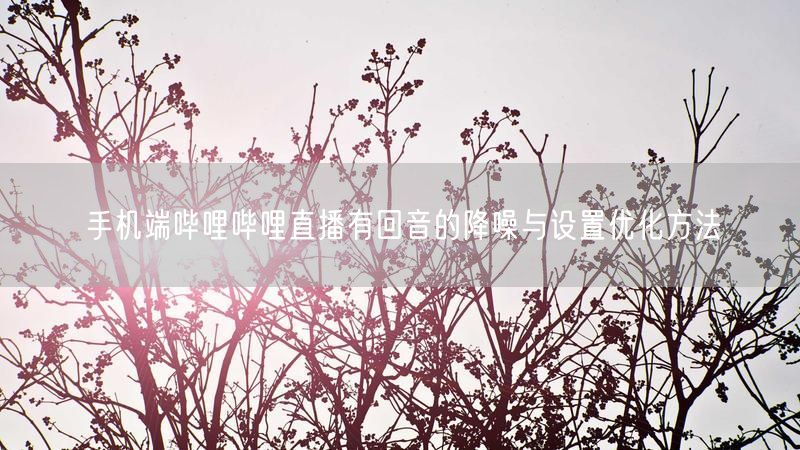 手机端哔哩哔哩直播有回音的降噪与设置优化方法