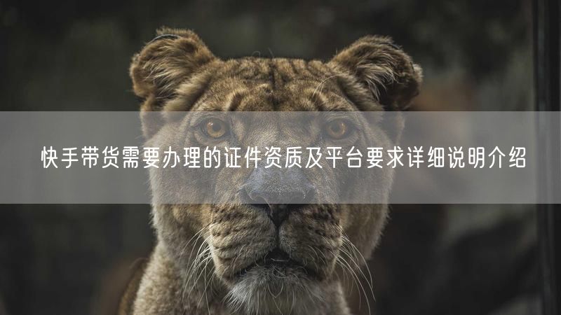 快手带货需要办理的证件资质及平台要求详细说明介绍