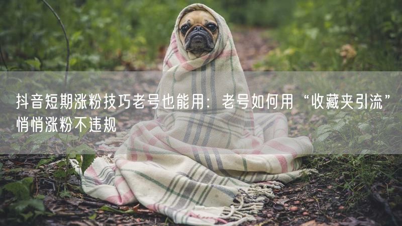 抖音短期涨粉技巧老号也能用：老号如何用“收藏夹引流”悄悄涨粉不违规