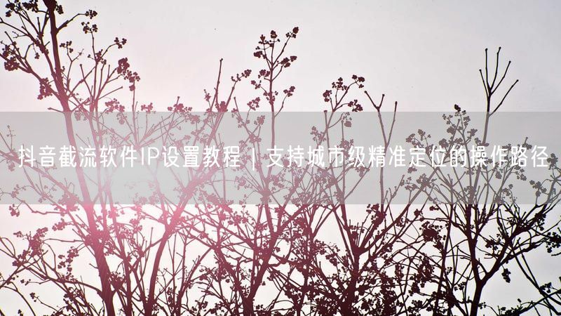 抖音截流软件IP设置教程｜支持城市级精准定位的操作路径