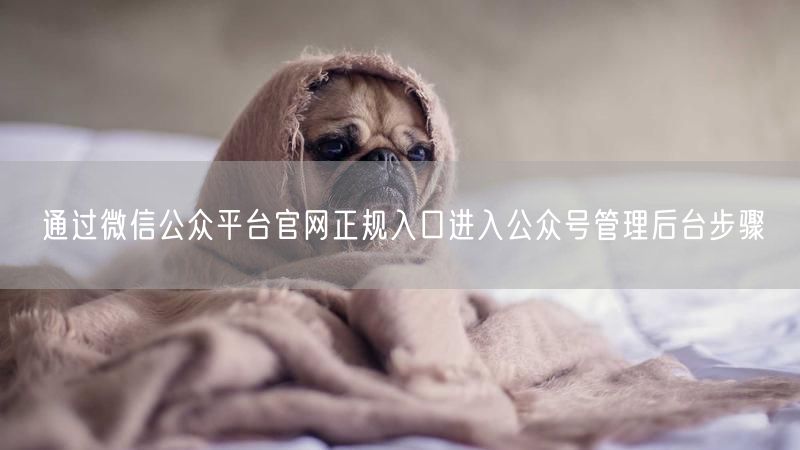 通过微信公众平台官网正规入口进入公众号管理后台步骤