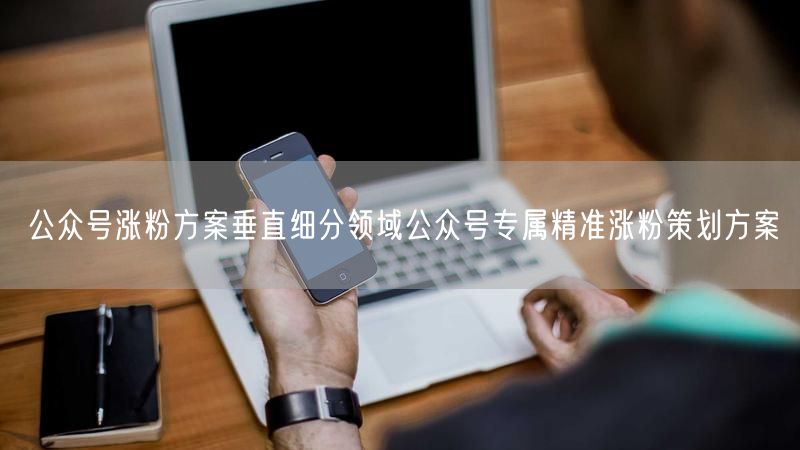 公众号涨粉方案垂直细分领域公众号专属精准涨粉策划方案