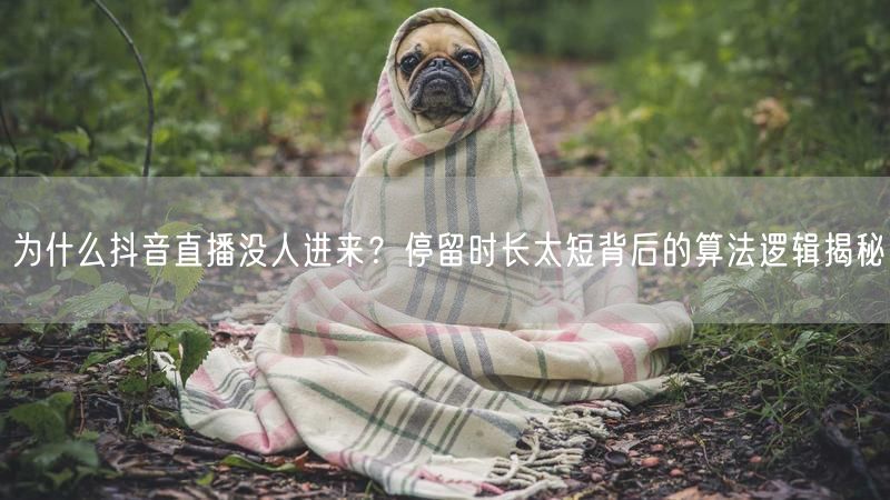 为什么抖音直播没人进来？停留时长太短背后的算法逻辑揭秘