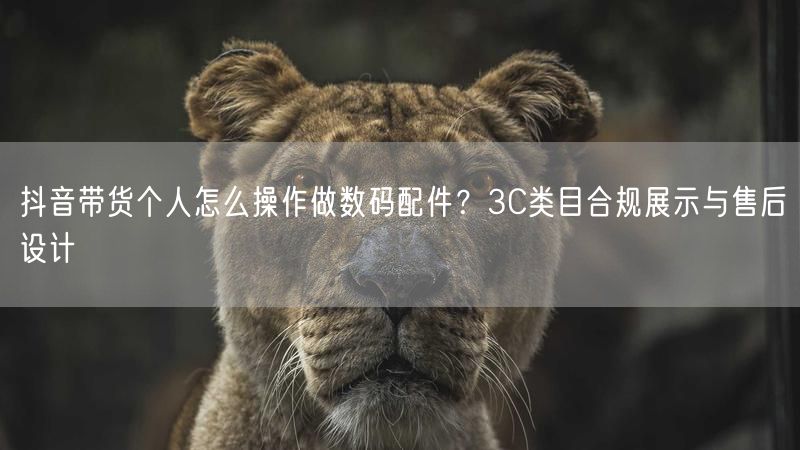 抖音带货个人怎么操作做数码配件？3C类目合规展示与售后设计