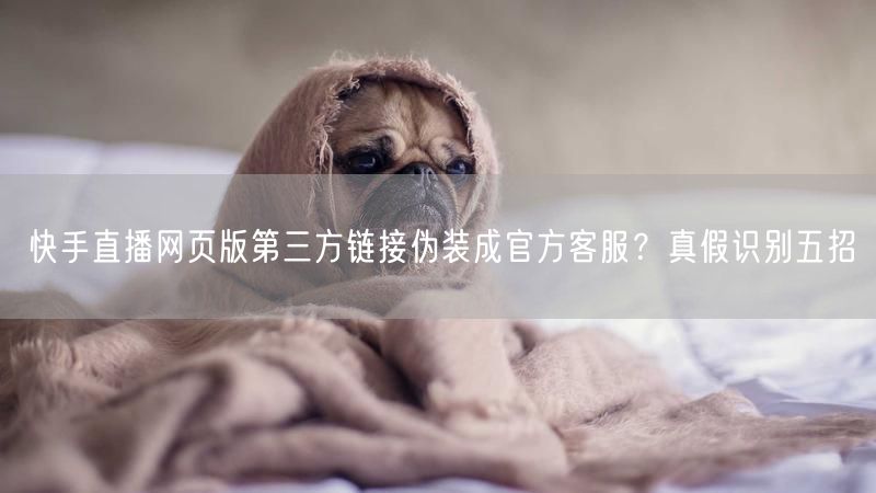 快手直播网页版第三方链接伪装成官方客服？真假识别五招