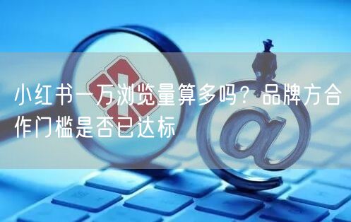 小红书一万浏览量算多吗？品牌方合作门槛是否已达标