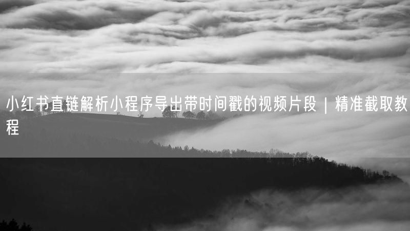 小红书直链解析小程序导出带时间戳的视频片段｜精准截取教程