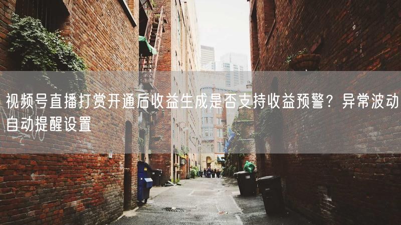 视频号直播打赏开通后收益生成是否支持收益预警？异常波动自动提醒设置