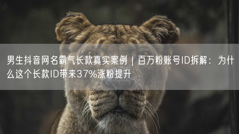男生抖音网名霸气长款真实案例｜百万粉账号ID拆解：为什么这个长款ID带来37%涨粉提升