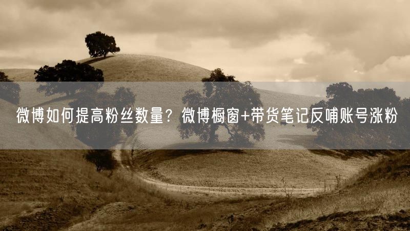 微博如何提高粉丝数量？微博橱窗+带货笔记反哺账号涨粉