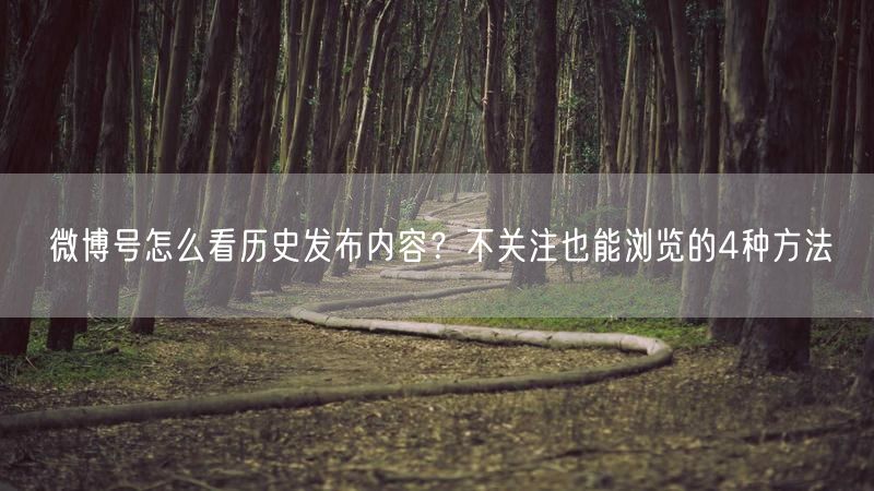 微博号怎么看历史发布内容？不关注也能浏览的4种方法