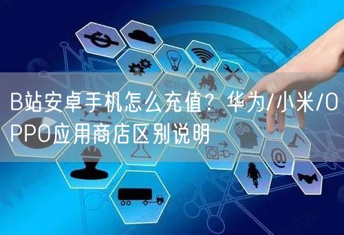 B站安卓手机怎么充值？华为/小米/OPPO应用商店区别说明