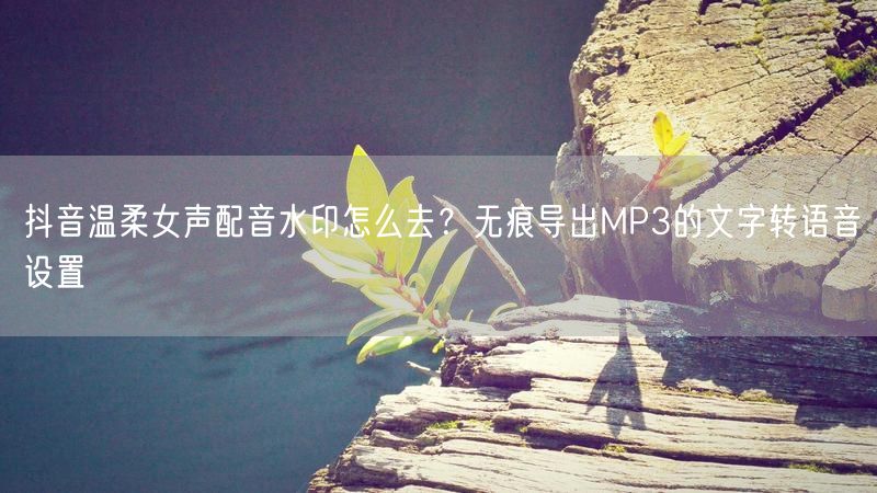 抖音温柔女声配音水印怎么去？无痕导出MP3的文字转语音设置