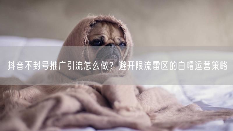 抖音不封号推广引流怎么做？避开限流雷区的白帽运营策略