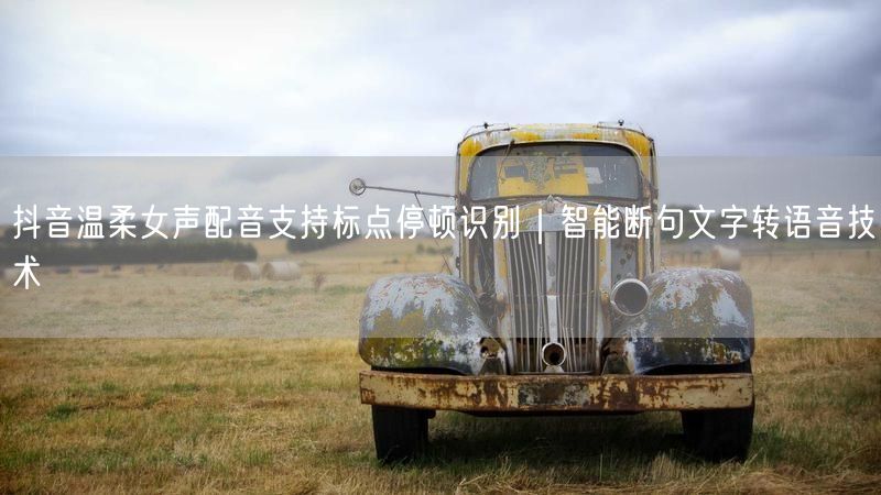 抖音温柔女声配音支持标点停顿识别｜智能断句文字转语音技术