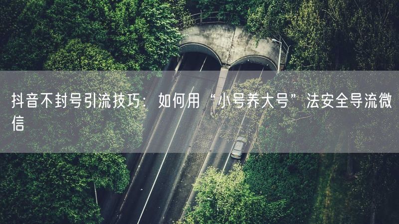 抖音不封号引流技巧：如何用“小号养大号”法安全导流微信