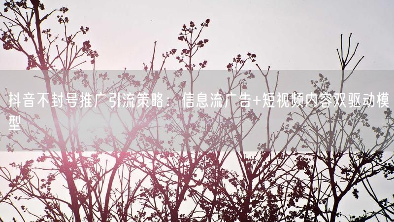 抖音不封号推广引流策略：信息流广告+短视频内容双驱动模型