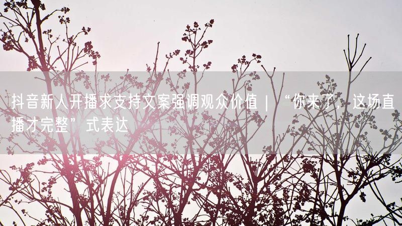 抖音新人开播求支持文案强调观众价值｜“你来了，这场直播才完整”式表达