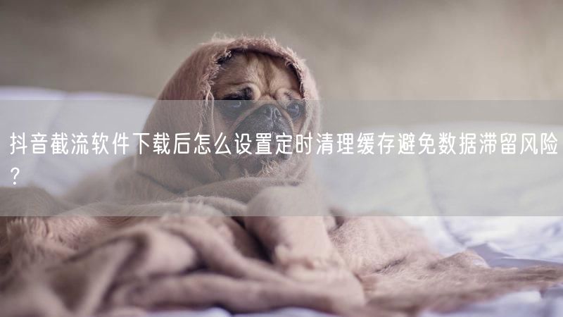 抖音截流软件下载后怎么设置定时清理缓存避免数据滞留风险？