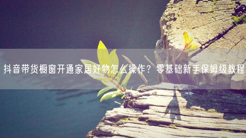 抖音带货橱窗开通家居好物怎么操作？零基础新手保姆级教程