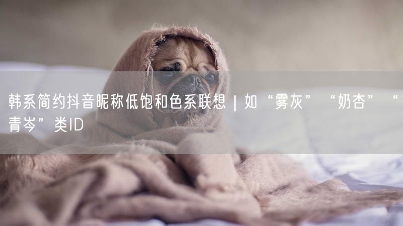 韩系简约抖音昵称低饱和色系联想｜如“雾灰”“奶杏”“青岑”类ID