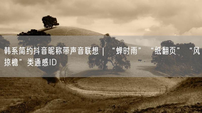 韩系简约抖音昵称带声音联想｜“蝉时雨”“纸翻页”“风掠檐”类通感ID