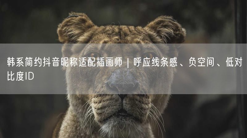 韩系简约抖音昵称适配插画师｜呼应线条感、负空间、低对比度ID