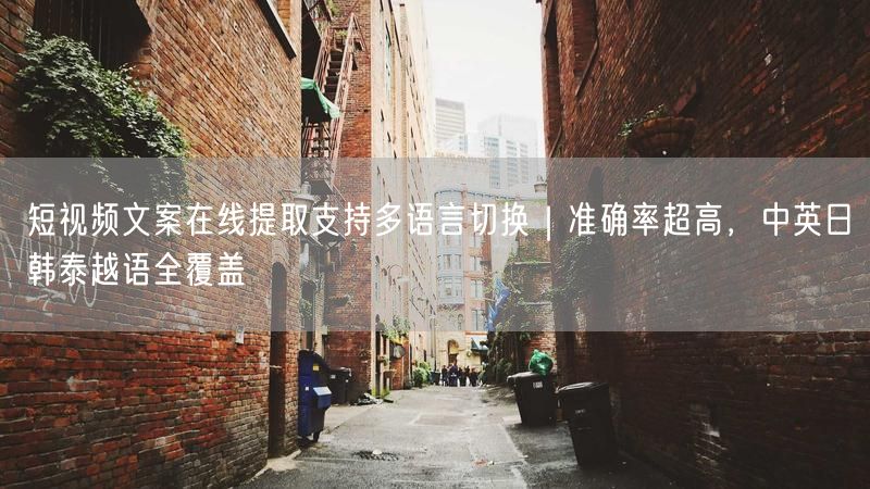 短视频文案在线提取支持多语言切换｜准确率超高，中英日韩泰越语全覆盖