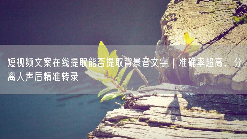 短视频文案在线提取能否提取背景音文字｜准确率超高，分离人声后精准转录