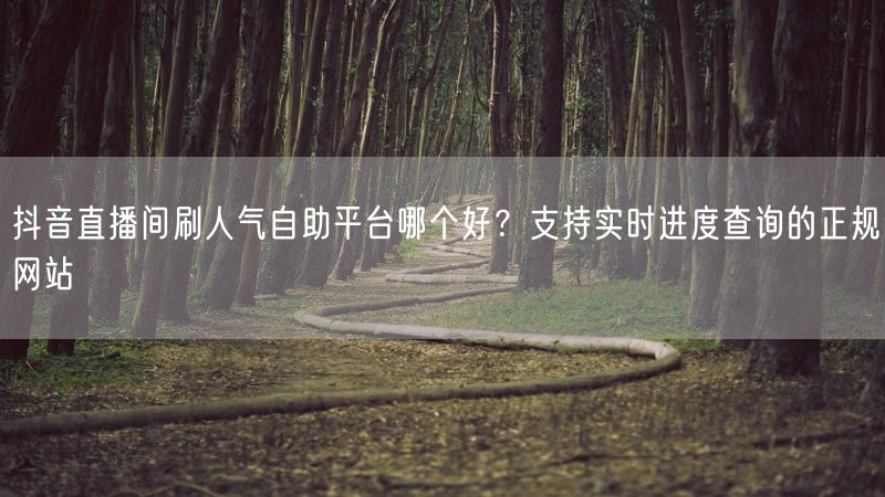 抖音直播间刷人气自助平台哪个好？支持实时进度查询的正规网站