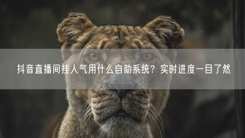 抖音直播间挂人气用什么自助系统？实时进度一目了然