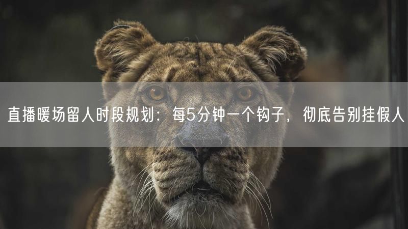 直播暖场留人时段规划：每5分钟一个钩子，彻底告别挂假人