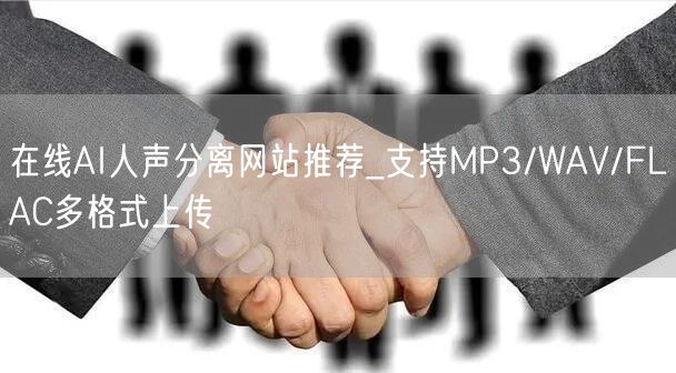 在线AI人声分离网站推荐_支持MP3/WAV/FLAC多格式上传