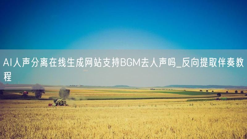 AI人声分离在线生成网站支持BGM去人声吗_反向提取伴奏教程