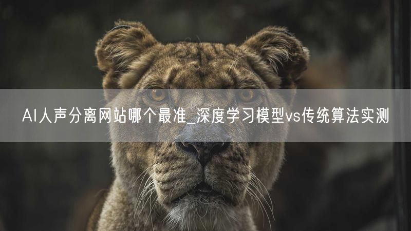 AI人声分离网站哪个最准_深度学习模型vs传统算法实测