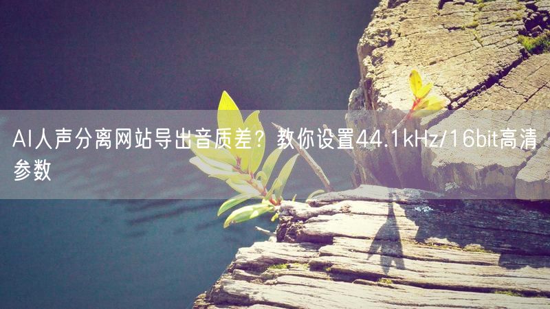AI人声分离网站导出音质差？教你设置44.1kHz/16bit高清参数