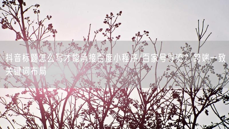 抖音标题怎么写才能承接百度小程序/百家号导流？跨端一致关键词布局