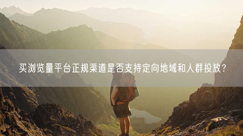 买浏览量平台正规渠道是否支持定向地域和人群投放？