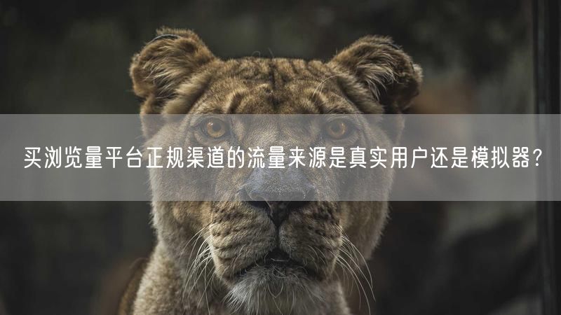 买浏览量平台正规渠道的流量来源是真实用户还是模拟器？