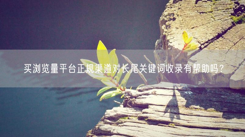 买浏览量平台正规渠道对长尾关键词收录有帮助吗？