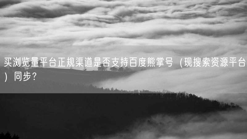 买浏览量平台正规渠道是否支持百度熊掌号（现搜索资源平台）同步？