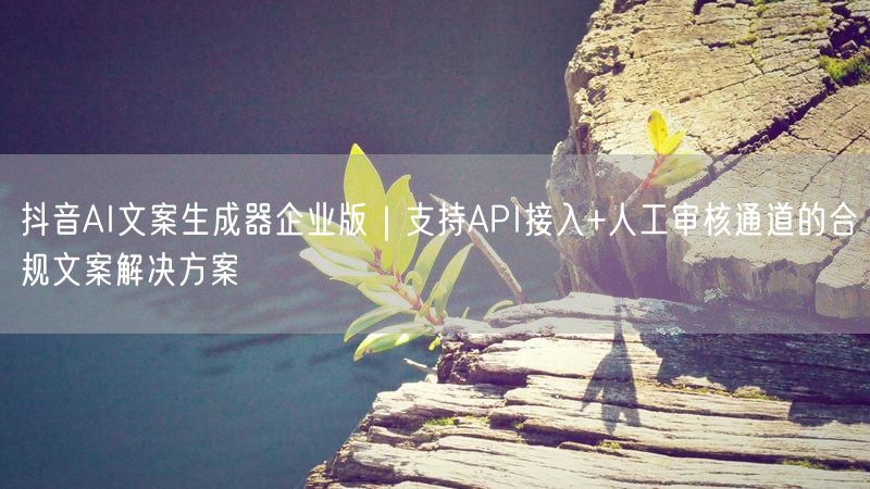 抖音AI文案生成器企业版｜支持API接入+人工审核通道的合规文案解决方案