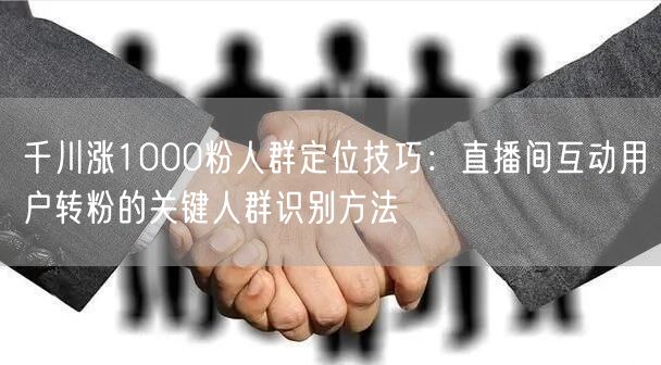 千川涨1000粉人群定位技巧：直播间互动用户转粉的关键人群识别方法