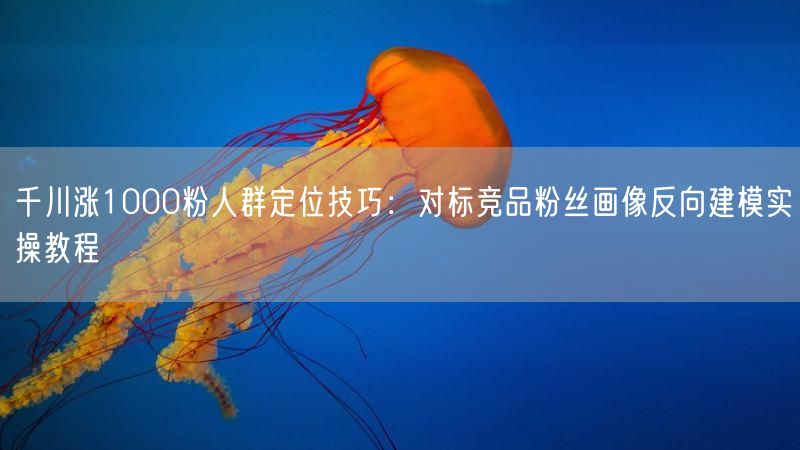 千川涨1000粉人群定位技巧：对标竞品粉丝画像反向建模实操教程