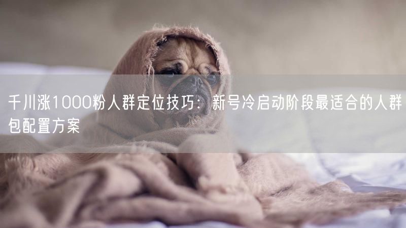 千川涨1000粉人群定位技巧：新号冷启动阶段最适合的人群包配置方案