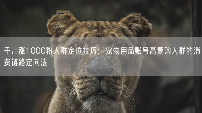 千川涨1000粉人群定位技巧：宠物用品账号高复购人群的消费链路定向法