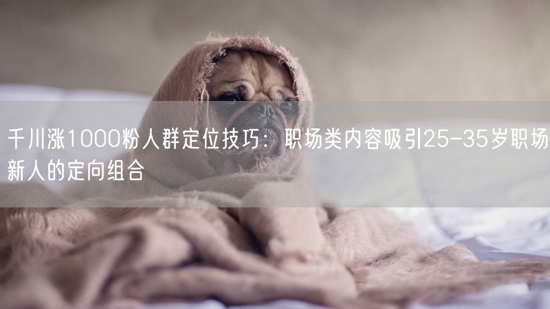 千川涨1000粉人群定位技巧：职场类内容吸引25–35岁职场新人的定向组合
