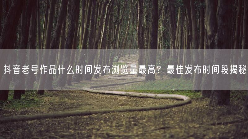 抖音老号作品什么时间发布浏览量最高？最佳发布时间段揭秘